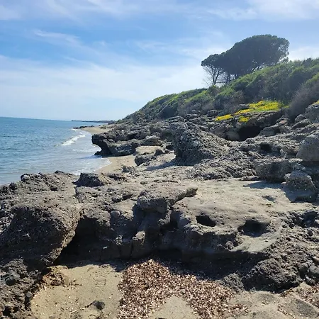 Les Jardins De La *